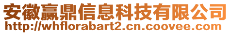 安徽贏鼎信息科技有限公司