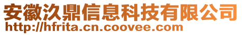 安徽汣鼎信息科技有限公司