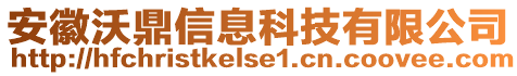 安徽沃鼎信息科技有限公司