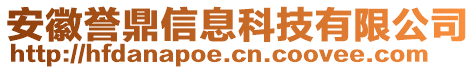 安徽譽(yù)鼎信息科技有限公司