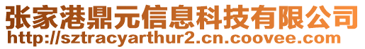 張家港鼎元信息科技有限公司