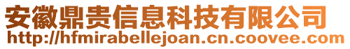 安徽鼎貴信息科技有限公司