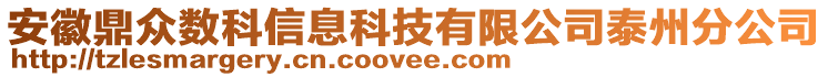 安徽鼎眾數(shù)科信息科技有限公司泰州分公司