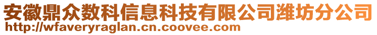 安徽鼎眾數(shù)科信息科技有限公司濰坊分公司