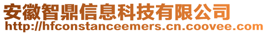 安徽智鼎信息科技有限公司