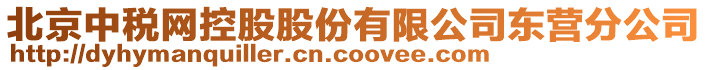 北京中稅網(wǎng)控股股份有限公司東營(yíng)分公司