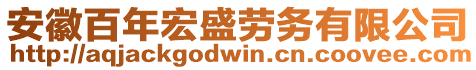 安徽百年宏盛勞務(wù)有限公司