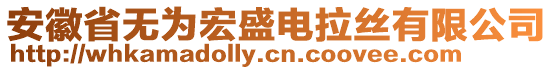 安徽省無為宏盛電拉絲有限公司