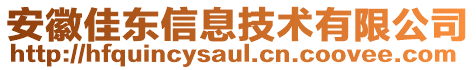 安徽佳東信息技術(shù)有限公司