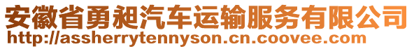 安徽省勇昶汽車(chē)運(yùn)輸服務(wù)有限公司