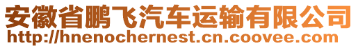 安徽省鵬飛汽車運(yùn)輸有限公司