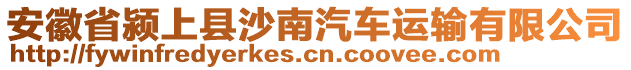 安徽省潁上縣沙南汽車運輸有限公司