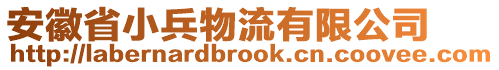 安徽省小兵物流有限公司