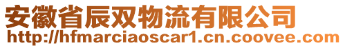 安徽省辰双物流有限公司