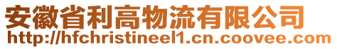 安徽省利高物流有限公司