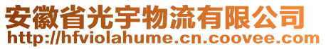 安徽省光宇物流有限公司