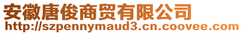 安徽唐俊商貿(mào)有限公司