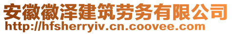 安徽徽泽建筑劳务有限公司