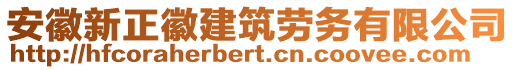 安徽新正徽建筑勞務(wù)有限公司