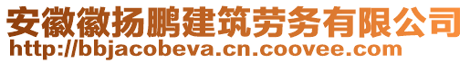 安徽徽扬鹏建筑劳务有限公司