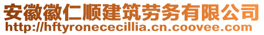 安徽徽仁順建筑勞務有限公司