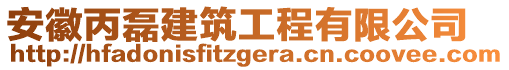 安徽丙磊建筑工程有限公司