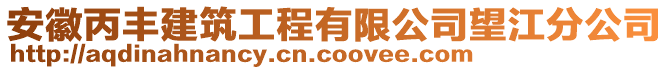 安徽丙豐建筑工程有限公司望江分公司