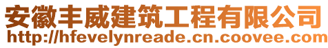 安徽豐威建筑工程有限公司