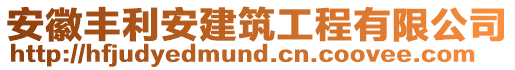 安徽豐利安建筑工程有限公司