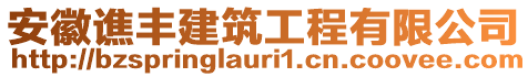 安徽譙豐建筑工程有限公司