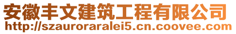 安徽豐文建筑工程有限公司