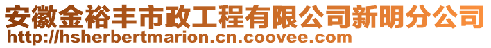 安徽金裕豐市政工程有限公司新明分公司