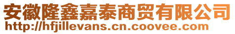 安徽隆鑫嘉泰商贸有限公司