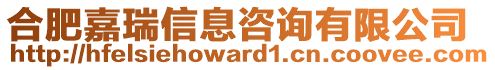 合肥嘉瑞信息咨询有限公司