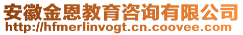 安徽金恩教育咨詢有限公司