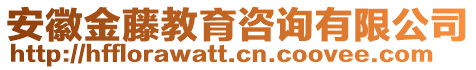 安徽金藤教育咨詢有限公司