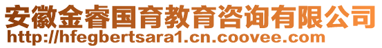 安徽金睿國育教育咨詢有限公司