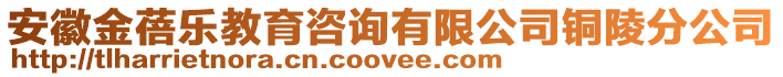 安徽金蓓樂教育咨詢有限公司銅陵分公司