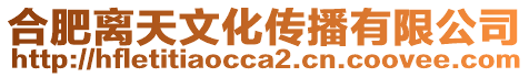 合肥離天文化傳播有限公司