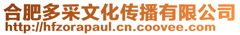 合肥多采文化傳播有限公司