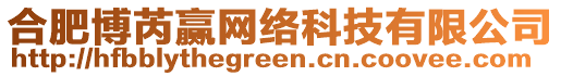 合肥博芮贏網(wǎng)絡(luò)科技有限公司