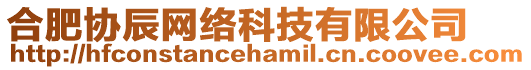 合肥協(xié)辰網(wǎng)絡(luò)科技有限公司