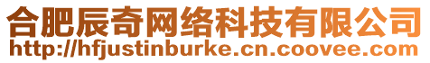 合肥辰奇網絡科技有限公司