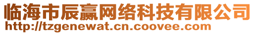臨海市辰贏網絡科技有限公司