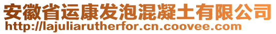 安徽省運(yùn)康發(fā)泡混凝土有限公司