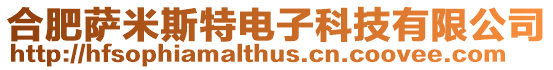 合肥薩米斯特電子科技有限公司