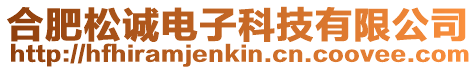 合肥松誠電子科技有限公司