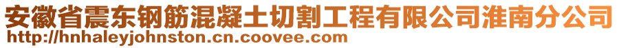 安徽省震東鋼筋混凝土切割工程有限公司淮南分公司