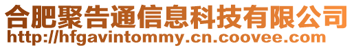 合肥聚告通信息科技有限公司