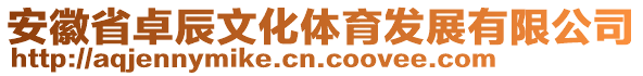安徽省卓辰文化體育發(fā)展有限公司